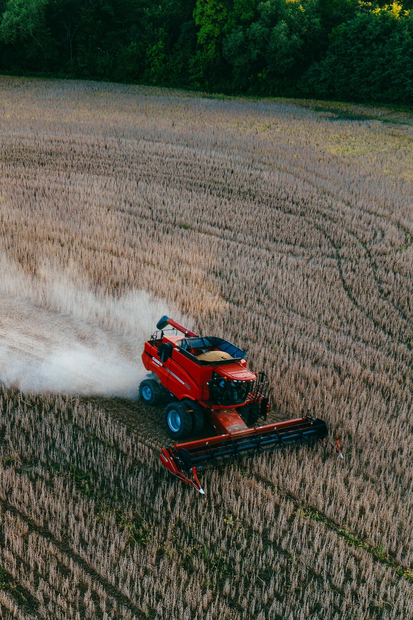 combine soybean harvest farm shirt